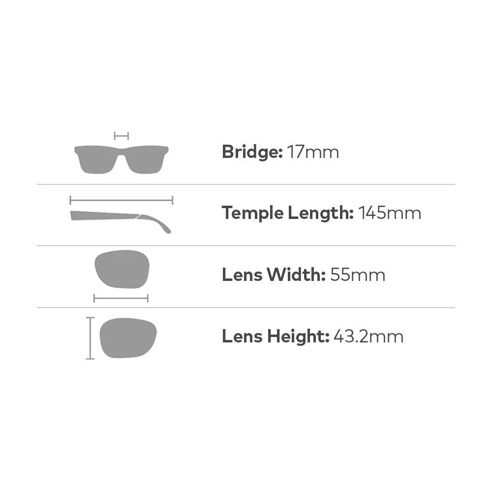 dragon dr104s luna sunglasses shiny tortoise