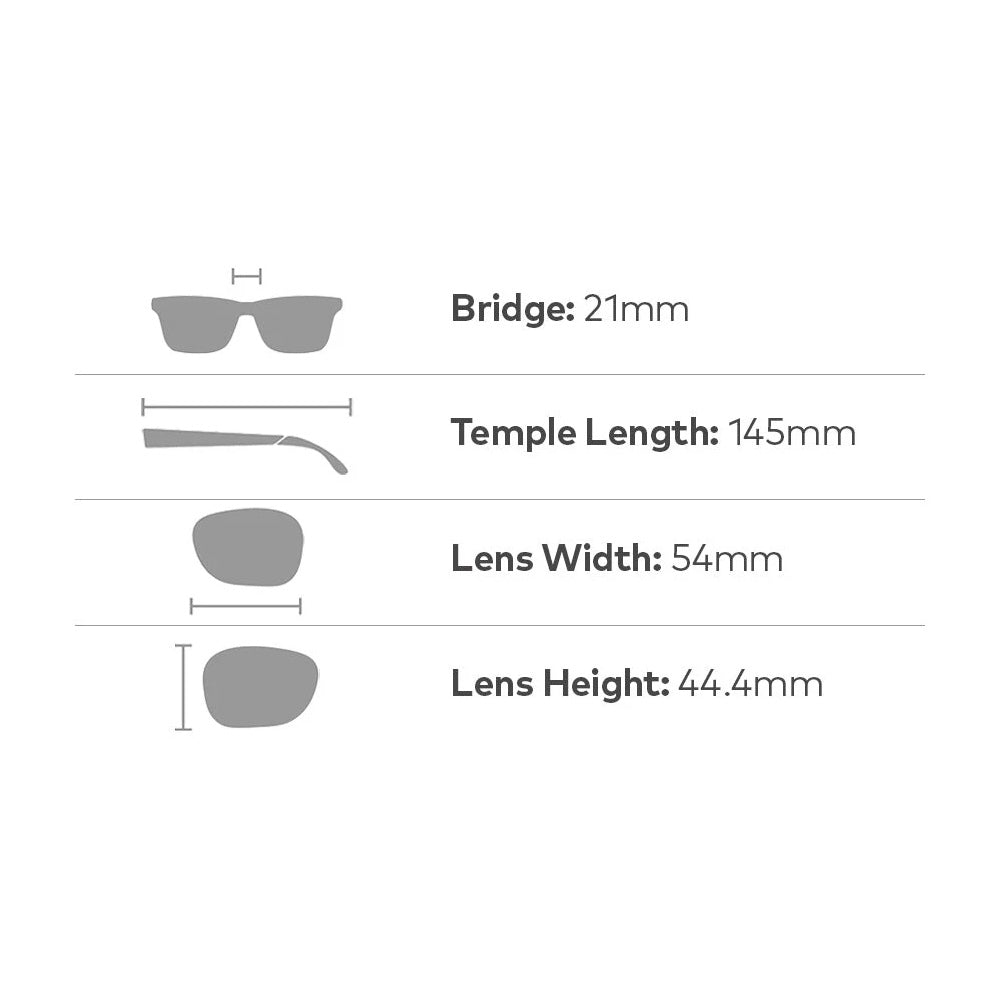 dragon dr106s fallon sunglasses shiny tortoise