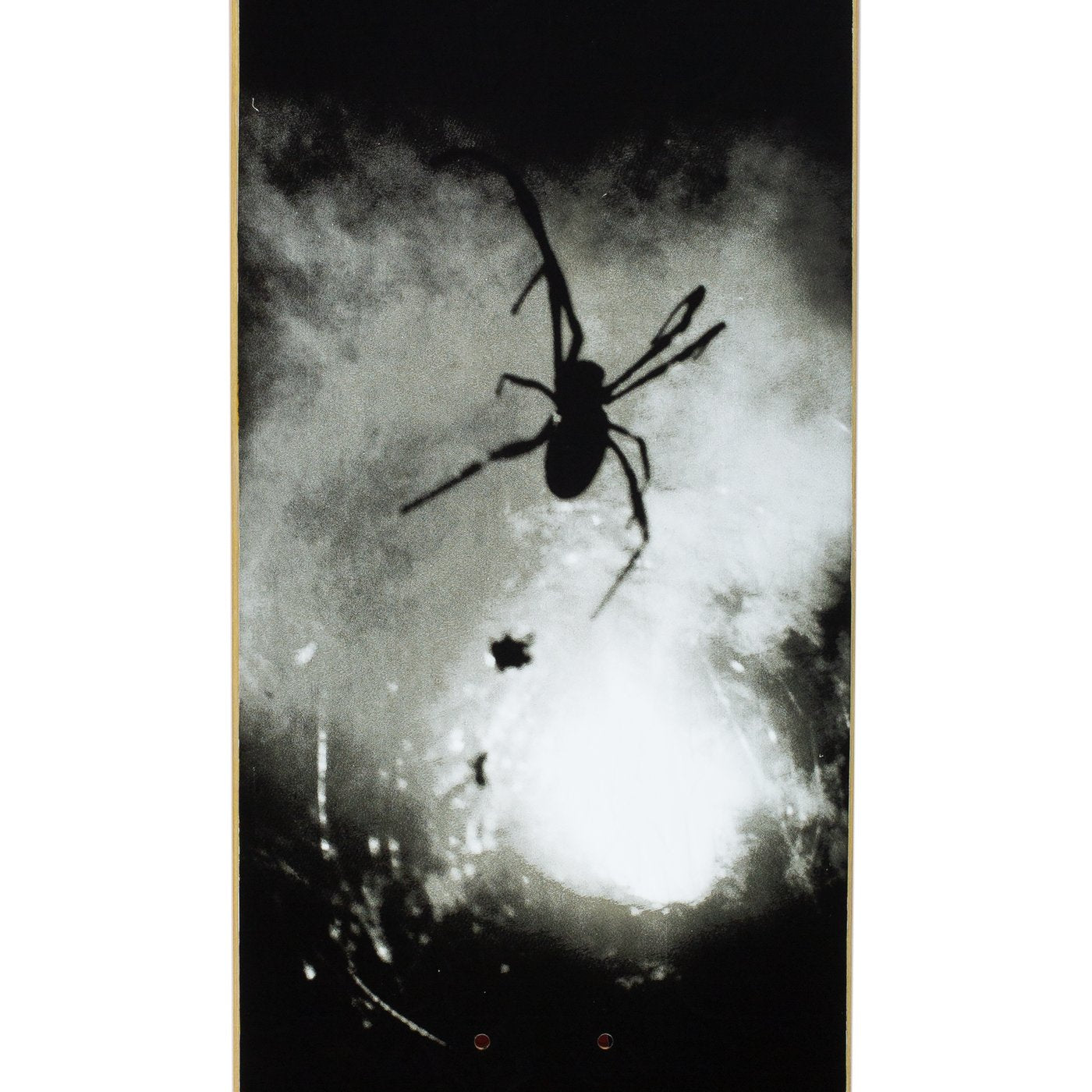 FUCKING AWESOME FUCKING AWESOME SPIDER PHOTO DECK // 8.0"/ 8.18" & 8.25"