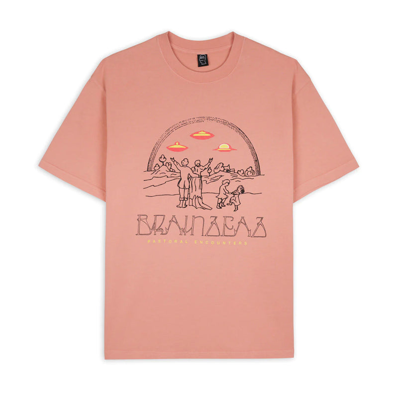 brain dead bds23t00002876 pastoral encounters t shirt dusty rose