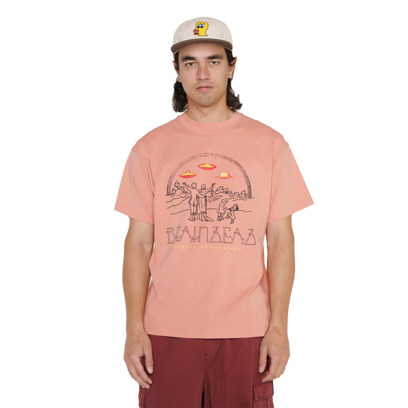 brain dead bds23t00002876 pastoral encounters t shirt dusty rose