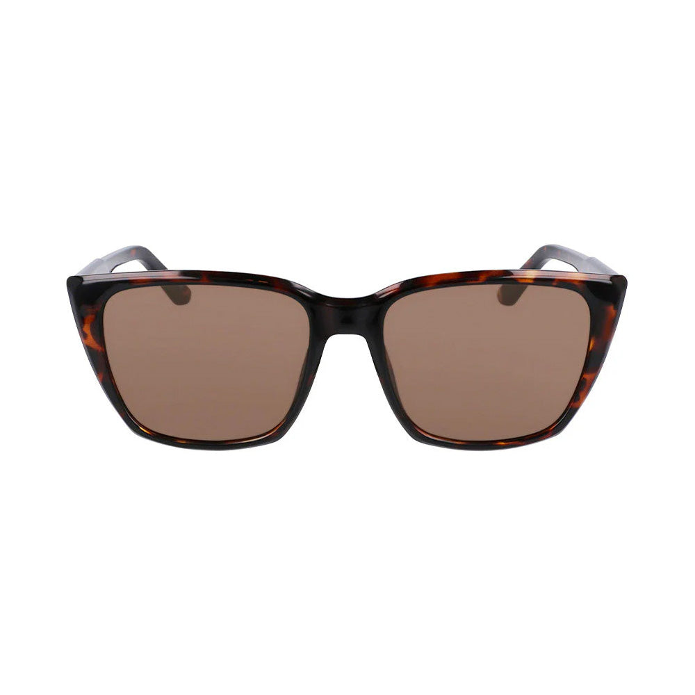 dragon dr104s luna sunglasses shiny tortoise