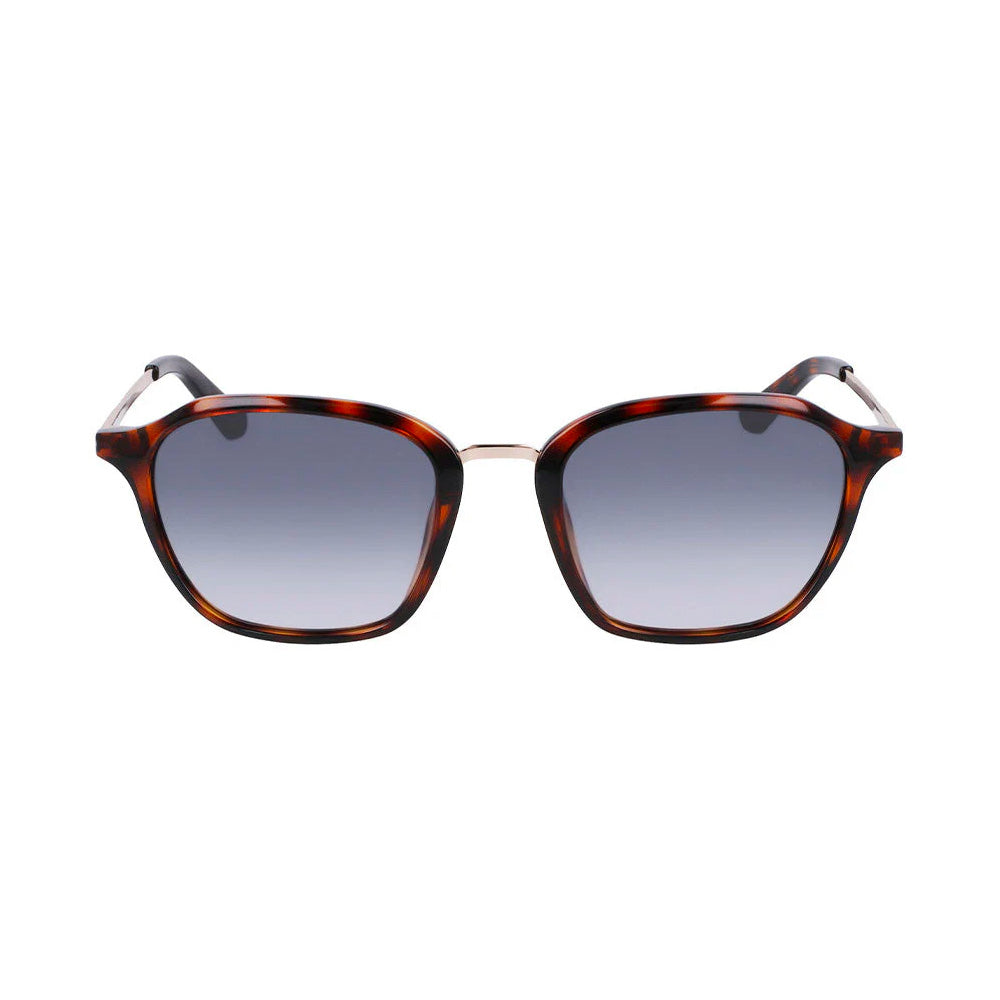 dragon dr106s fallon sunglasses shiny tortoise