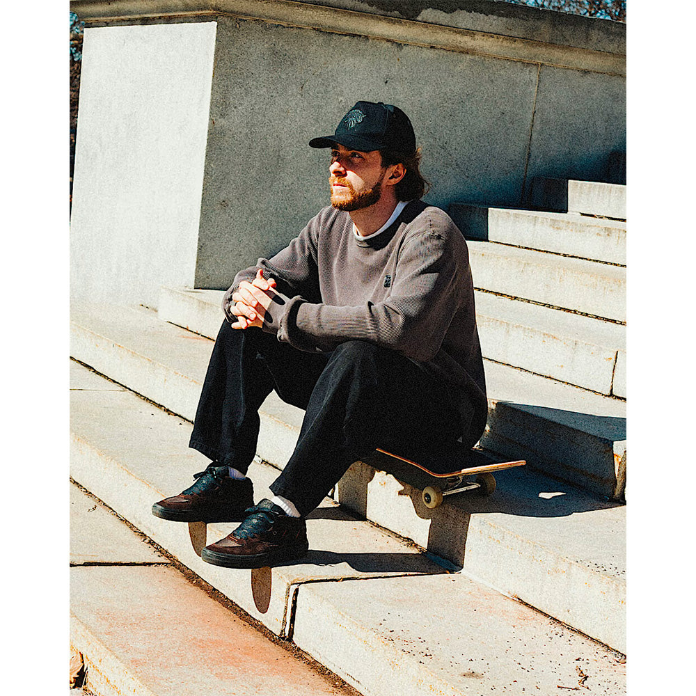vans skate half cab wafflecup shoe dick rizzo translucent sidewall black blue