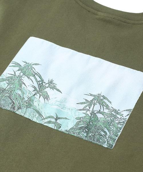 HUF STRAWBERRY FIELDS CREW // MARTINI OLIVE